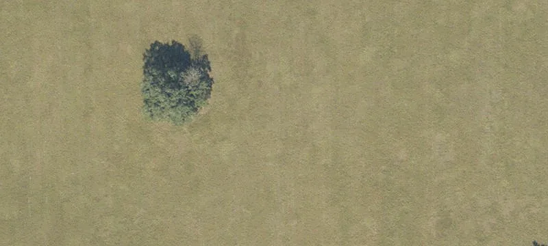 Newberry, FL 32669
