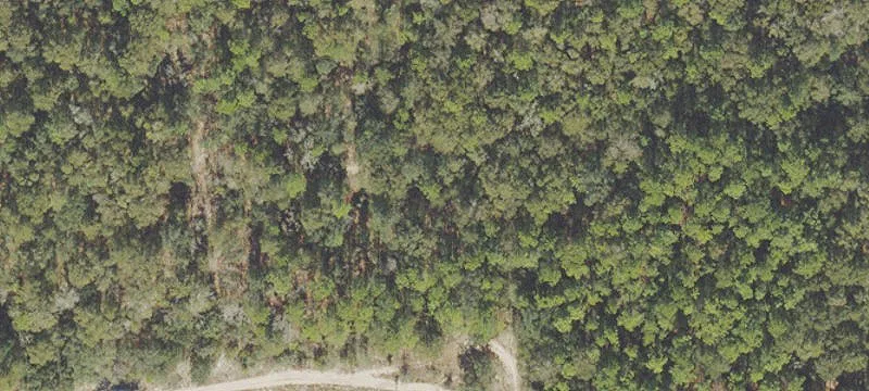 Milton, FL 32583