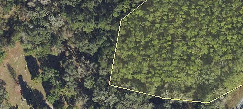 Live Oak, FL 32060