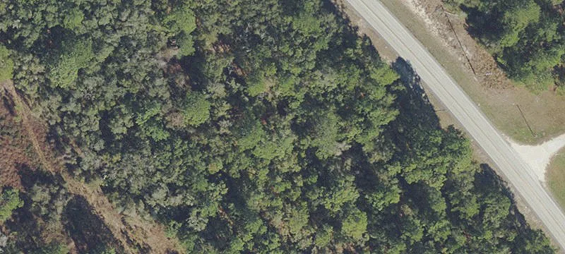 Ocklawaha, FL 32179