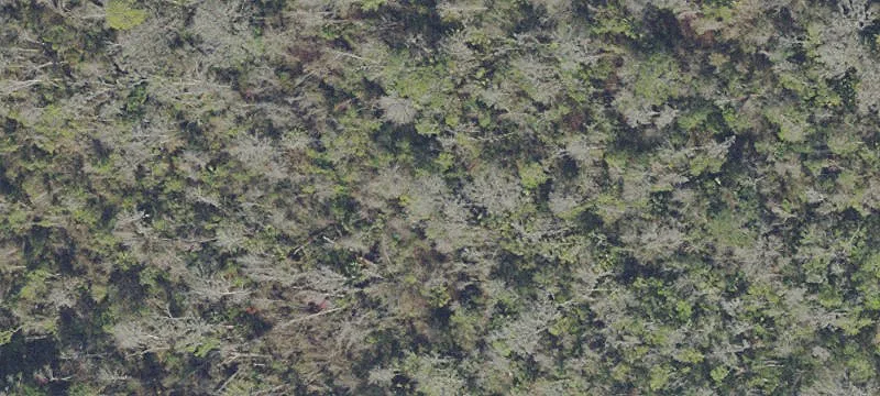 Palatka, FL 32177