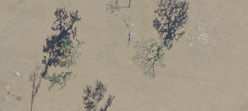 Summerfield, FL 34491