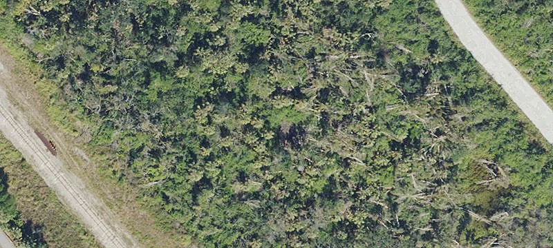 Punta Gorda, FL 33950