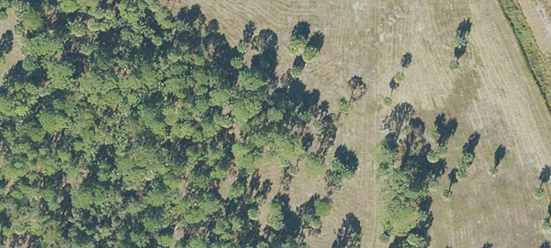 Palm Bay, FL 32905