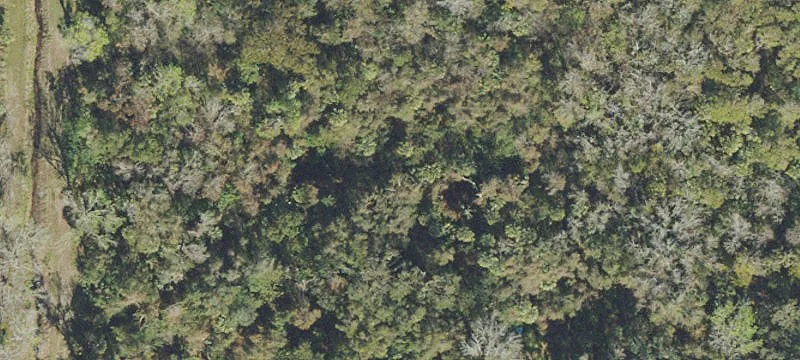 Titusville, FL 32796