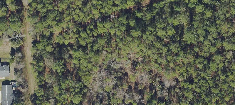 Bunnell, FL 32110