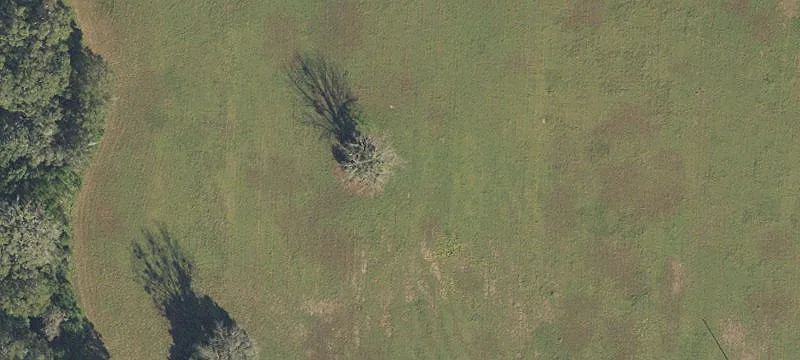 Alachua, FL 32615