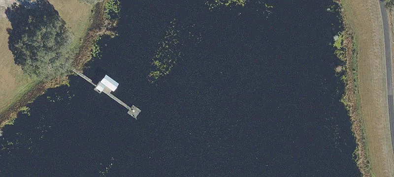 Weirsdale, FL 32195