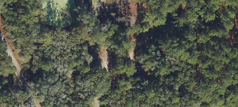 White Springs, FL 32096