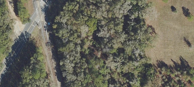 Williston, FL 32696