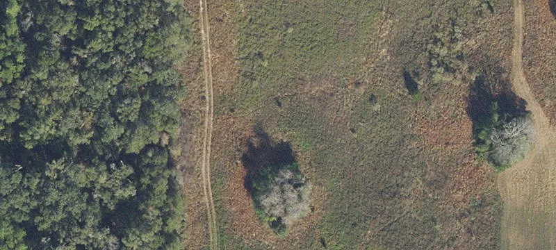 Archer, FL 32618