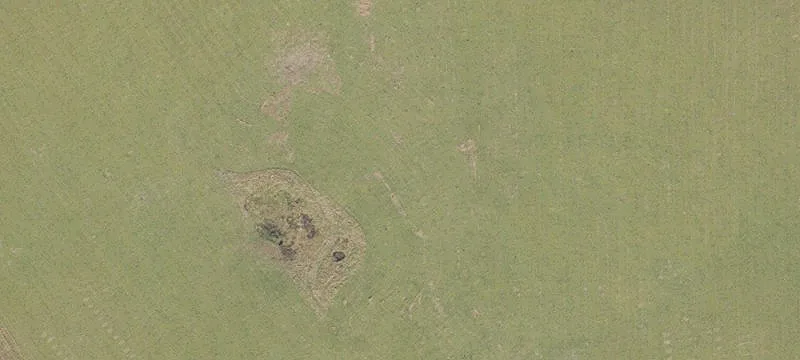 Archer, FL 32618