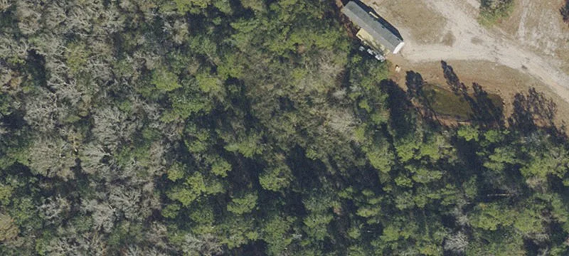 224 Sopchoppy Hwy