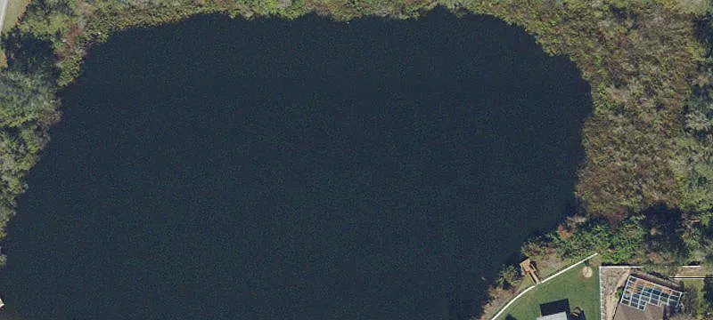 Lutz, FL 33549