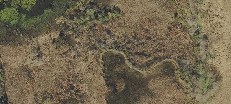 Zephyrhills, FL 33542