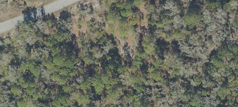 Palatka, FL 32177
