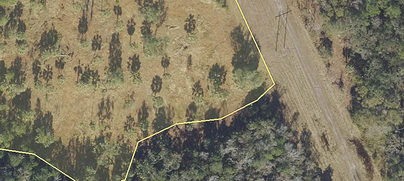 Saint Marks, FL 32355