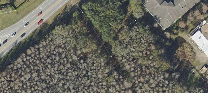 Lutz, FL 33559