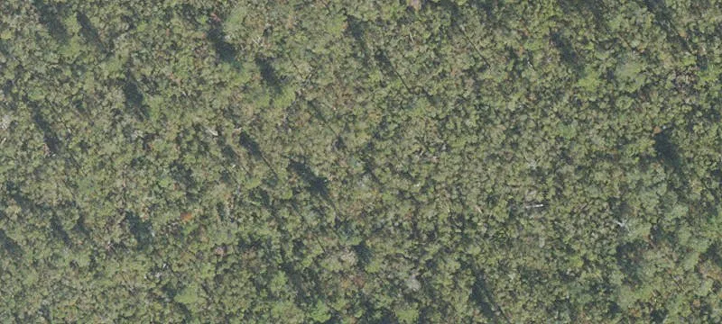 Deltona, FL 32725