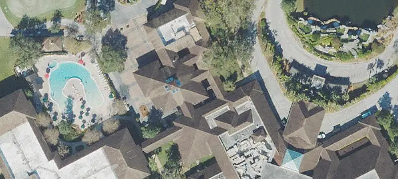 Magnolia Palm Dr