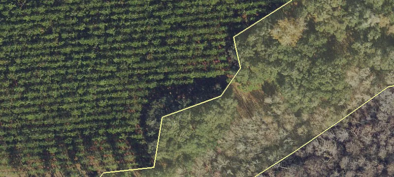 Peterson Cp Rd