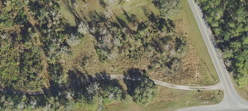 Ft Christmas Rd