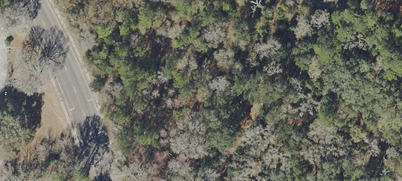 Waldo, FL 32694