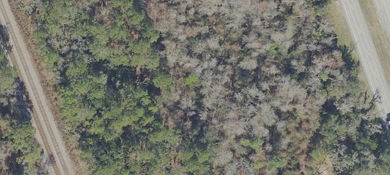 Hawthorne, FL 32640