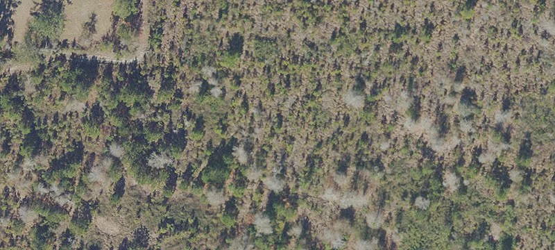 Melrose, FL 32666