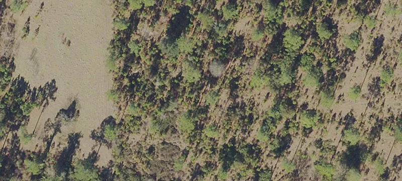 Waldo, FL 32694