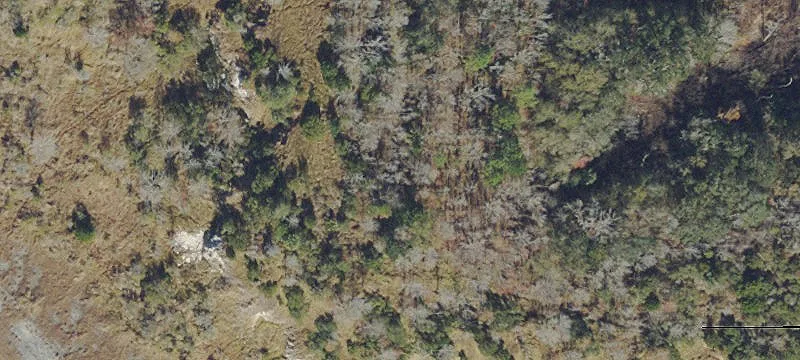 Buczak Rd