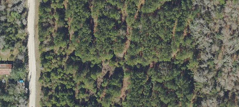 Waldo, FL 32694