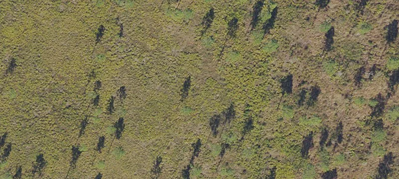 Waldo, FL 32694