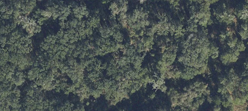 Archer, FL 32618