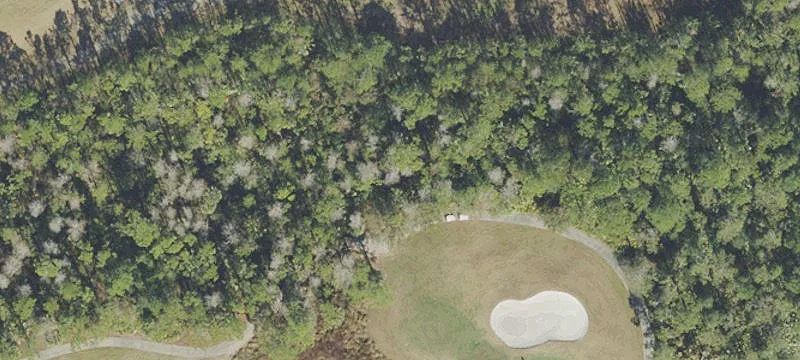 International Golf Dr
