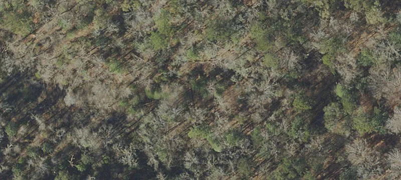 Moss Hl Rd