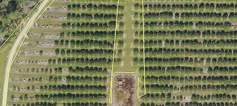 Olive Br Cemetery Rd