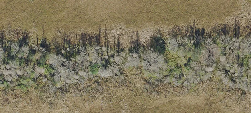 Radar Rd