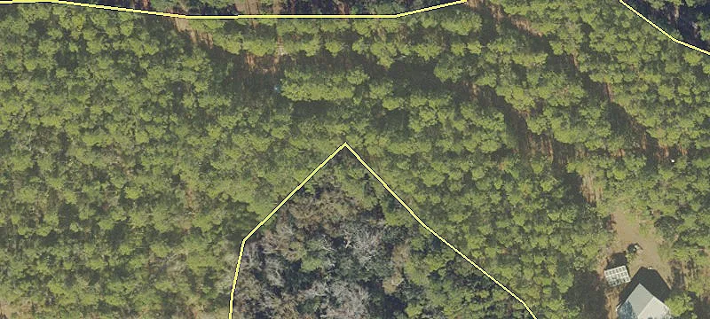 Hickory Hammock Rd