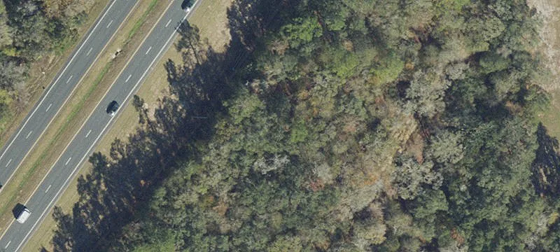 Us Hwy 19