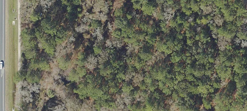 Waldo, FL 32694
