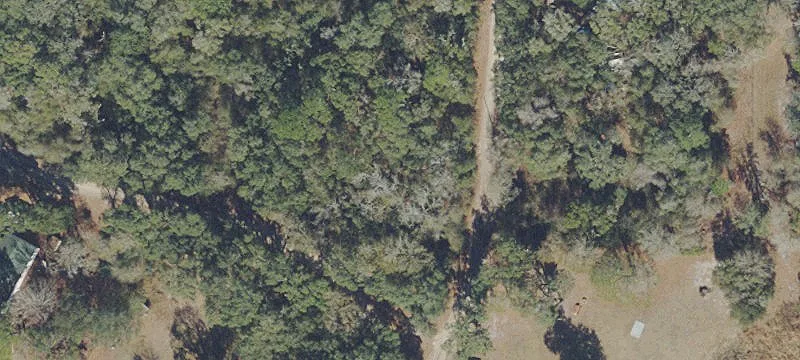 Honeydew Cir