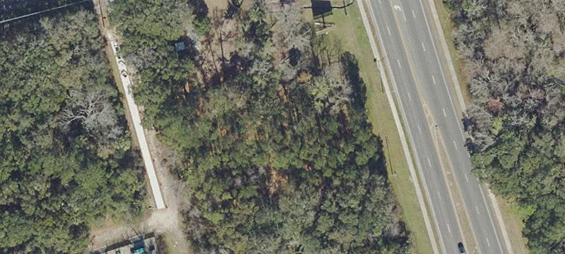 Palmetto S Ave