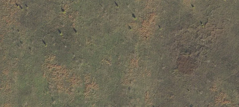 8291 Hwy 90