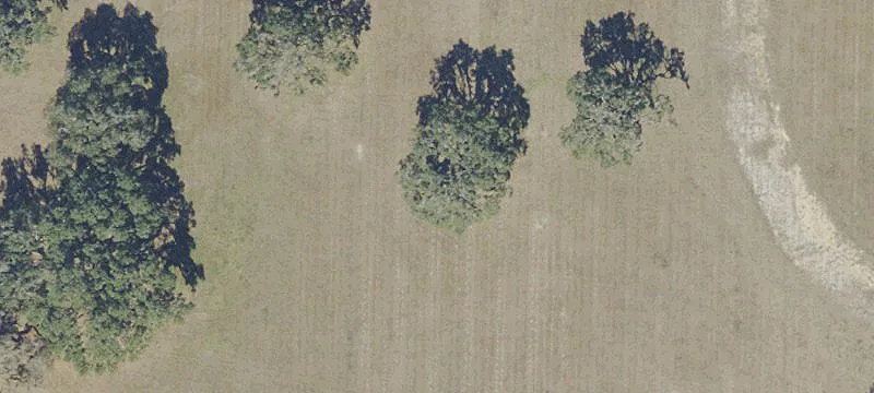 Ocala, FL 34482