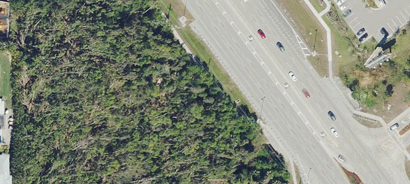Tamiami Trl