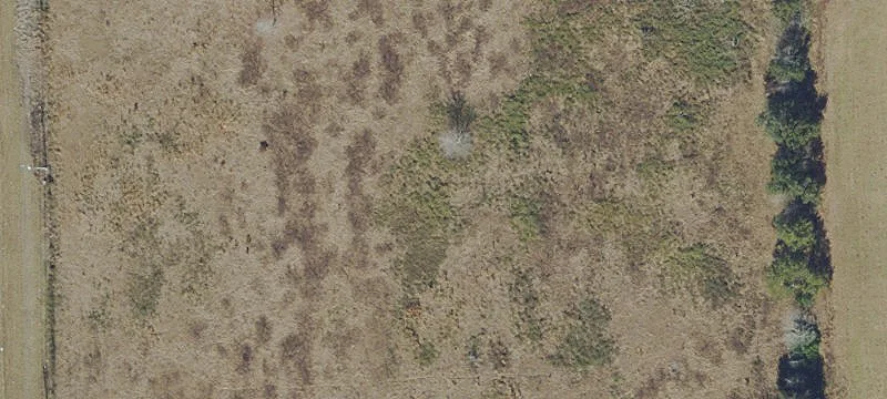 Wildwood, FL 34785