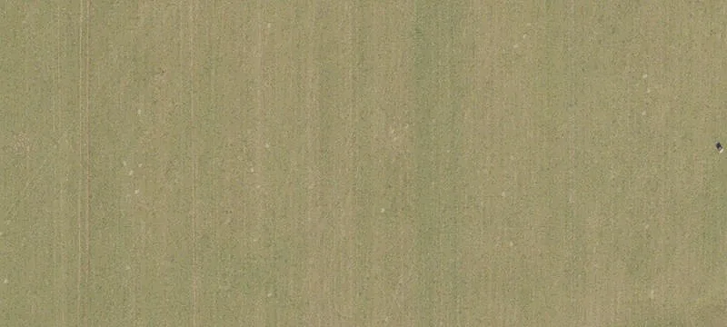 Alachua, FL 32615