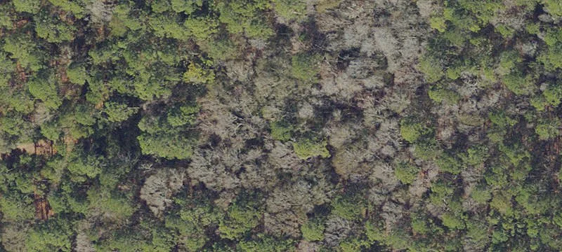 Sanderson, FL 32087