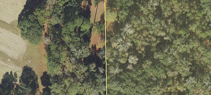 Salt Rd